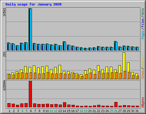 Daily usage for January 2020