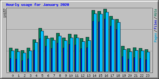 Hourly usage for January 2020